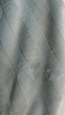 320gsm Polyester Flannel Fabric