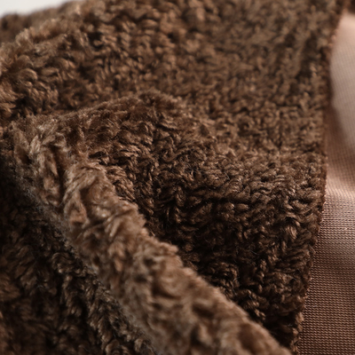 Solid Color Faux Sherpa Fleece Fabric Teddy Bear 300gsm Outdoor Coat Warm